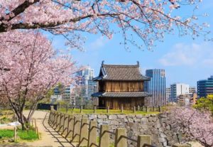 Toutes les merveilles du Japon à admirer en croisière : Fukuoka