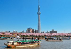 Toutes les merveilles du Japon à admirer en croisière : Tokyo